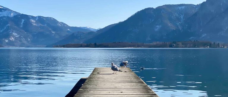 Mondsee Panorama perfekt für Ihren Sommergarten