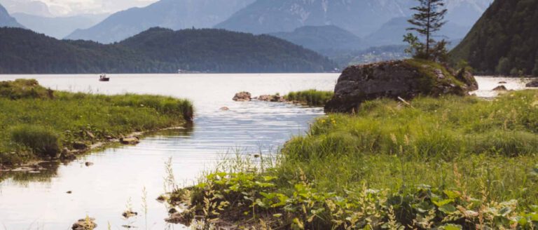 salzkammergut-natur
